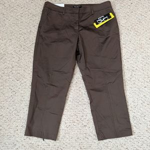 NWT Dalia Collection modern fit Capri pants 10